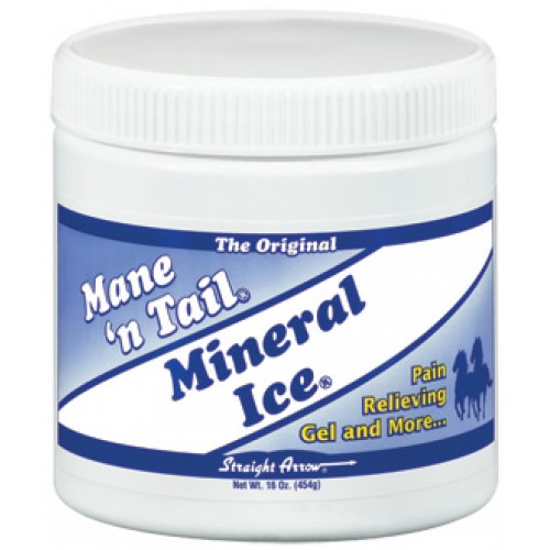 MANE 'N TAIL MINERAL ICE, 500 GM