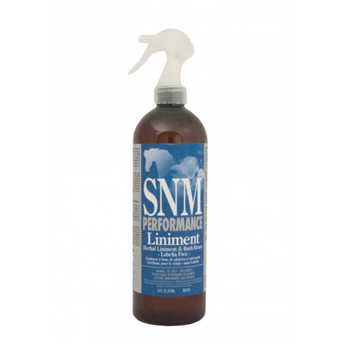 SORE NO MORE PERFORMANCE LINIMENT SPRAY, 16 OZ