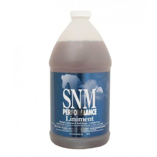 SORE NO MORE PERFORMANCE LINIMENT SPRAY, 64 OZ
