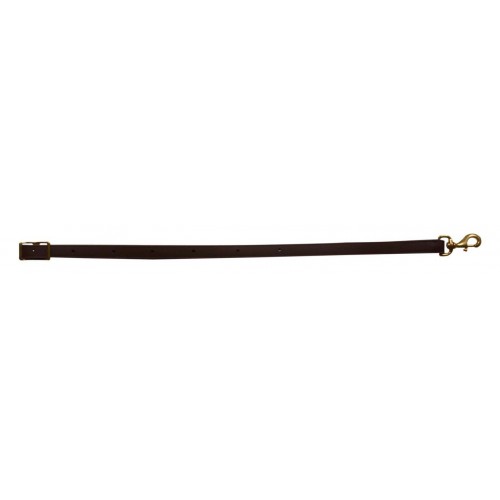 HARNESS LEATHER TIE DOWN - 1 INCH
