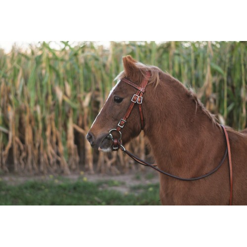 WESTERN RAWHIDE BASKETWEAVE PONY BRIDLE & REINS WESTERN RAWHIDE BASKETWEAVE PONY BRIDLE & REINS