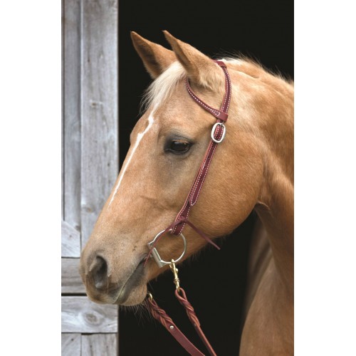 WESTERN RAWHIDE SIGNATURE SLIDING EAR HEADSTALL