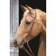 WESTERN RAWHIDE SIGNATURE SLIDING EAR HEADSTALL WESTERN RAWHIDE SIGNATURE SLIDING EAR HEADSTALL