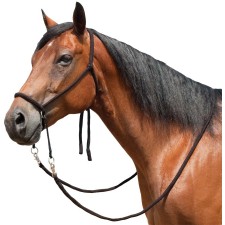 MUSTANG BITLESS BRIDLE WITH REINS