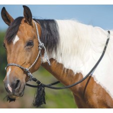 MUSTANG DELUXE BITLESS BRIDLE