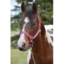 WESTERN RAWHIDE SIGNATURE CLASSIC HALTER WITH SNAP