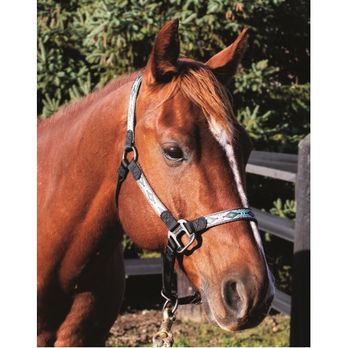 WESTERN RAWHIDE SIGNATURE PATTERN HALTER WITH ANTIQUE SILVER FINISH HARDWARE, NO SNAP WESTERN RAWHIDE SIGNATURE PATTERN HALTER WITH ANTIQUE SILVER FINISH HARDWARE, NO SNAP