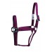 WESTERN RAWHIDE SIGNATURE HALTER WITH ANTIQUE SILVER FINISH HARDWARE, NO SNAP, SOLID COLOUR