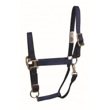 WESTERN RAWHIDE SIGNATURE HALTER WITH ANTIQUE SILVER FINISH HARDWARE, WITH SNAP, SOLID COLOUR