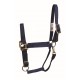WESTERN RAWHIDE SIGNATURE HALTER WITH ANTIQUE SILVER FINISH HARDWARE, WITH SNAP, SOLID COLOUR WESTERN RAWHIDE SIGNATURE HALTER WITH ANTIQUE SILVER FINISH HARDWARE, WITH SNAP, SOLID COLOUR