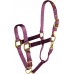 HAMILTON 1" DELUXE HALTER WITH ADJUSTABLE CHIN AND SNAP AT THROAT