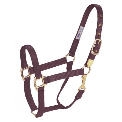 HAMILTON 1 INCH DELUXE HALTER WITH SNAP AT THROAT