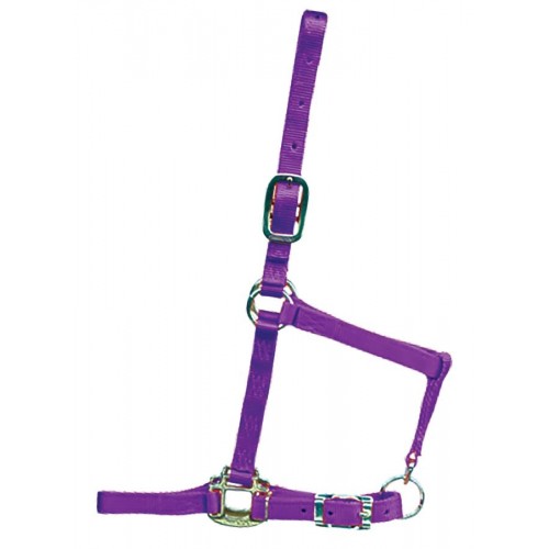 HAMILTON 3/4 INCH DELUXE HALTER WITH ADJUSTABLE CHIN AND NO SNAP AT THROAT