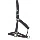 THE OLD TIMER HALTER THE OLD TIMER HALTER