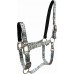 COUNTRY LEGEND CACTUS PRINT PADDED HALTER