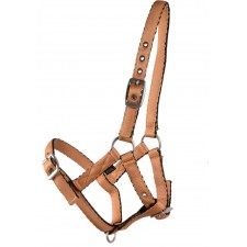 COUNTRY LEGEND CUSHION WEB HALTER - FOAL