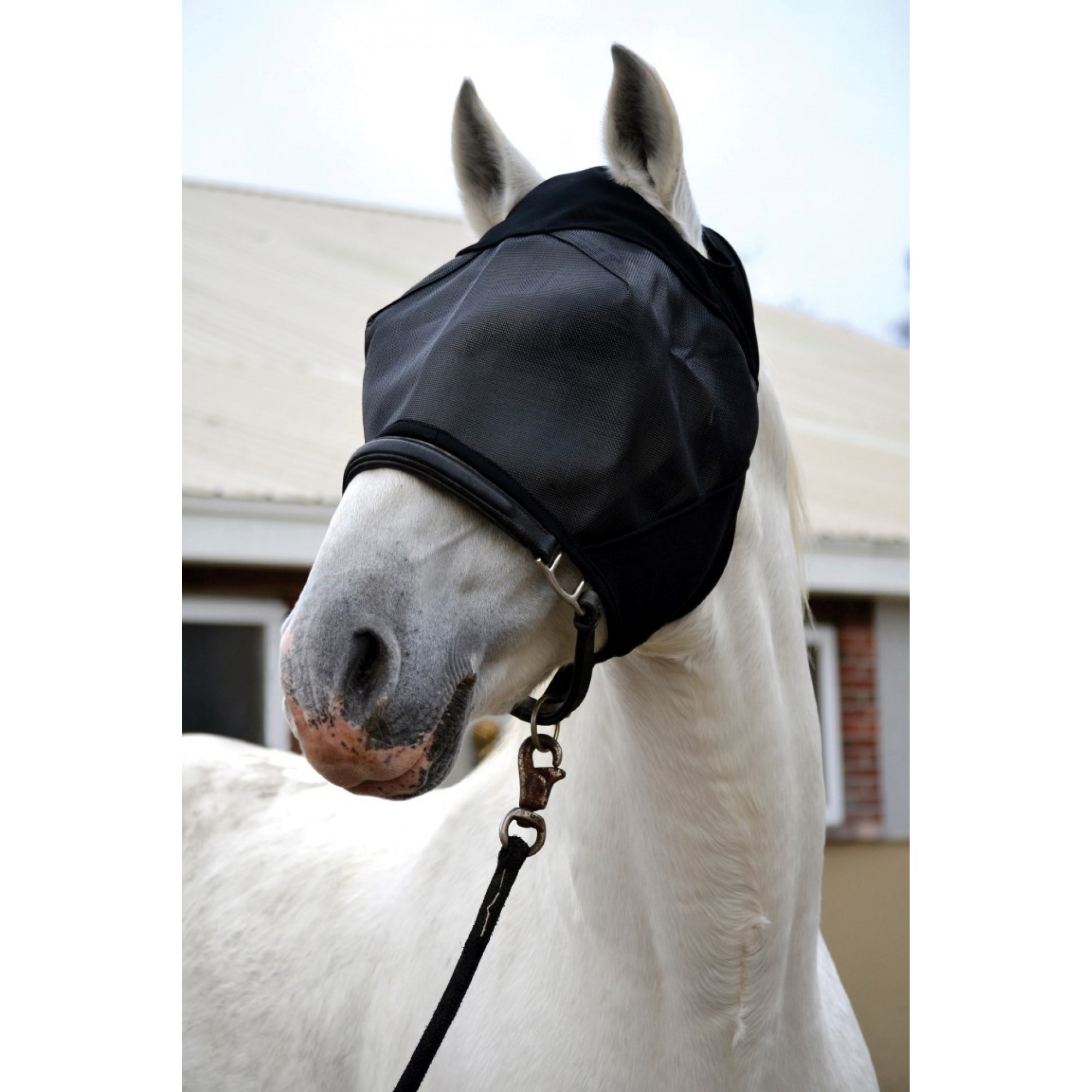 Horse fly mask Absorbine UltraShield Fly Mask without Ears 