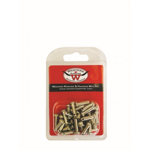 WESTERN RAWHIDE STAINLESS STEEL REPLACEMENT SPUR PINS