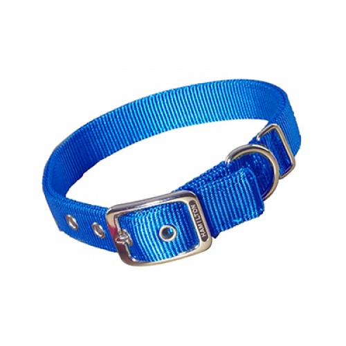 HAMILTON 1" DOUBLE THICK COLLAR - 30"
